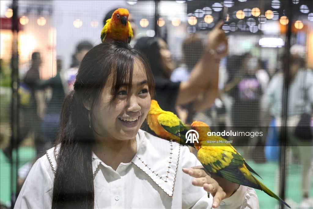 Tayland'da evcil hayvan festivali düzenlendi