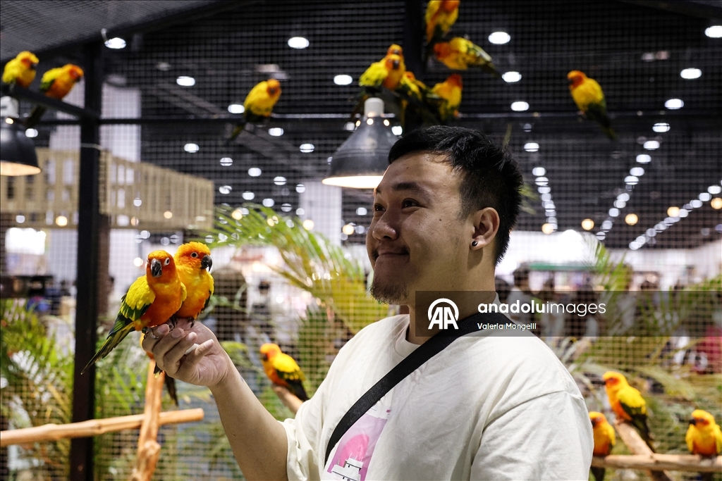 Tayland'da evcil hayvan festivali düzenlendi