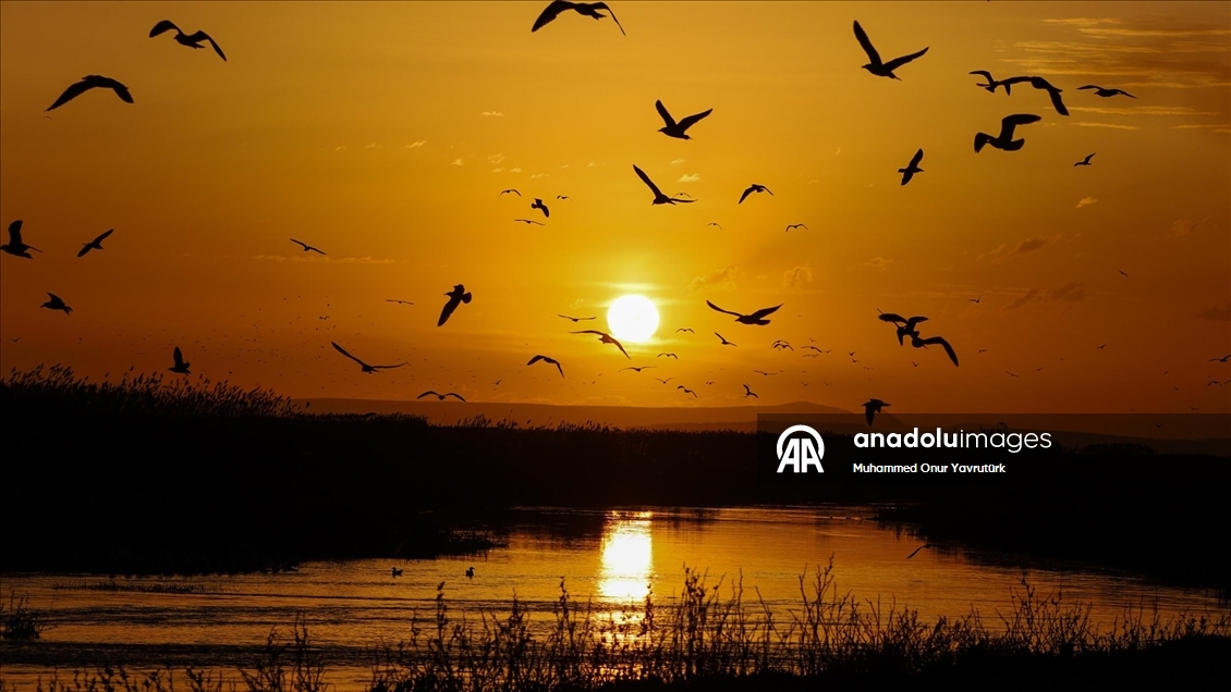 Van'da gün batımı