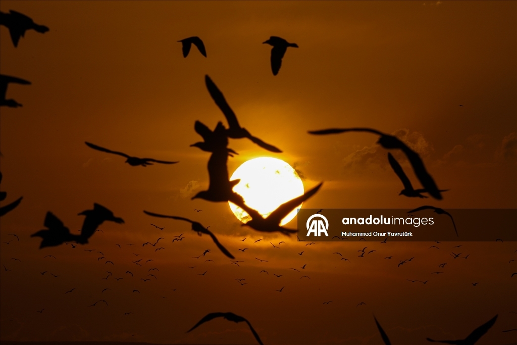 Van'da gün batımı