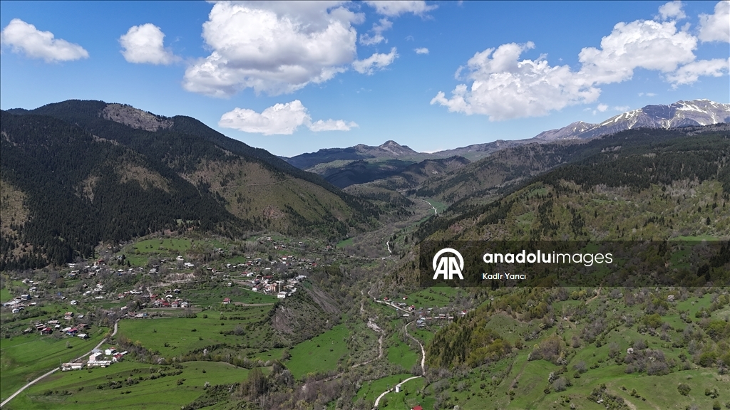 'Sakin şehir' Şavşat’ta ilkbaharla birlikte tabiat canlandı