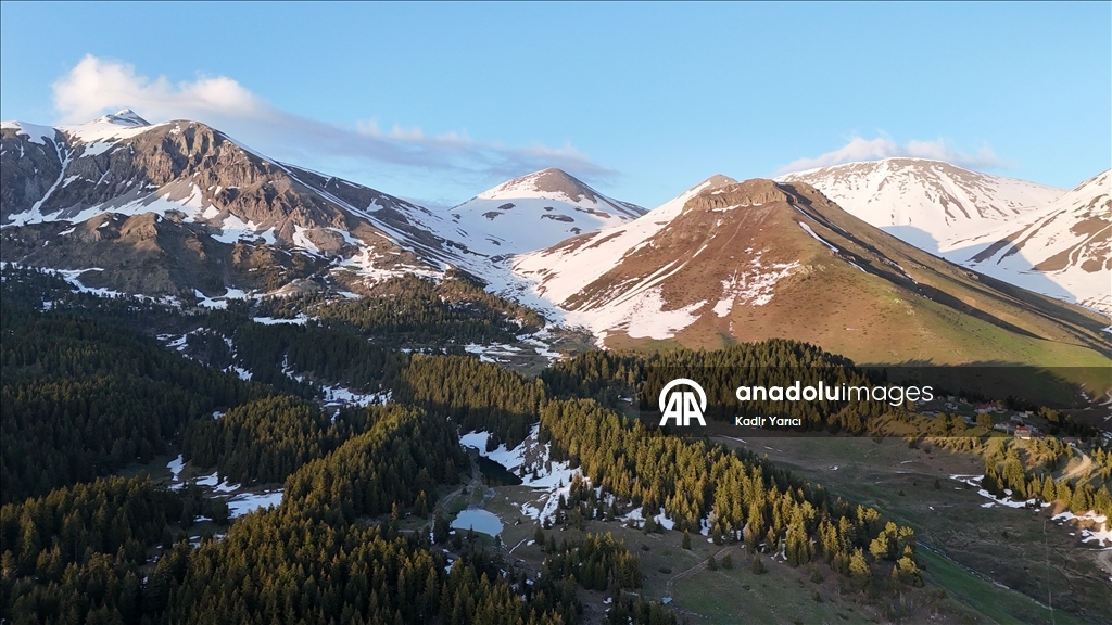 'Sakin şehir' Şavşat’ta ilkbaharla birlikte tabiat canlandı