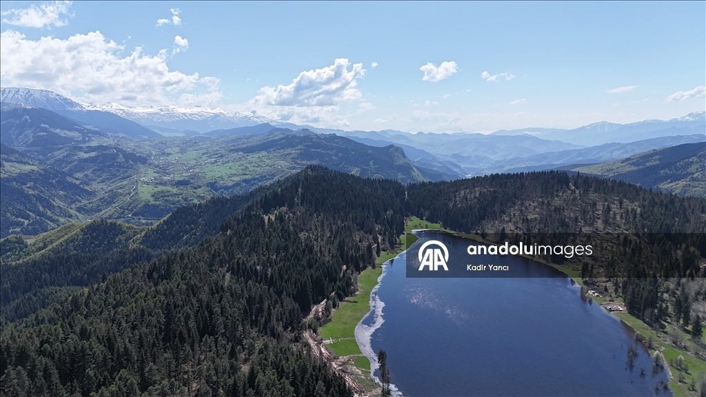 'Sakin şehir' Şavşat’ta ilkbaharla birlikte tabiat canlandı