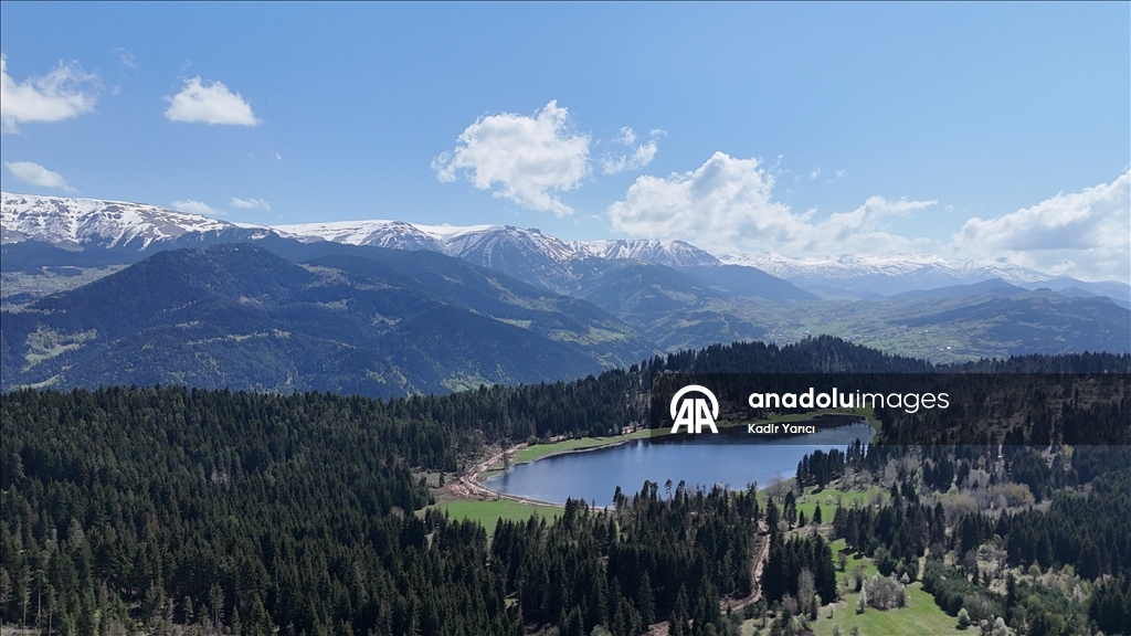 'Sakin şehir' Şavşat’ta ilkbaharla birlikte tabiat canlandı