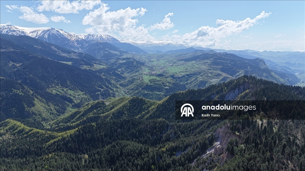 'Sakin şehir' Şavşat’ta ilkbaharla birlikte tabiat canlandı