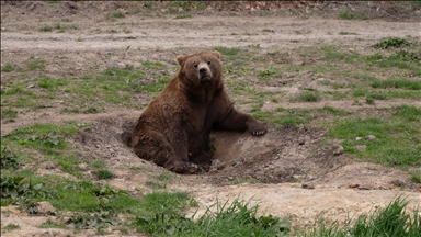 New Jersey'deki vahşi yaşam ve safari parkı yeni sezonda ziyaretçilerini ağırlıyor