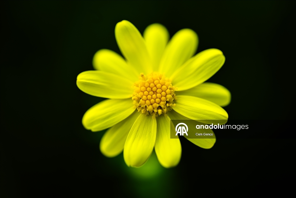 С приходом весны ожила природа