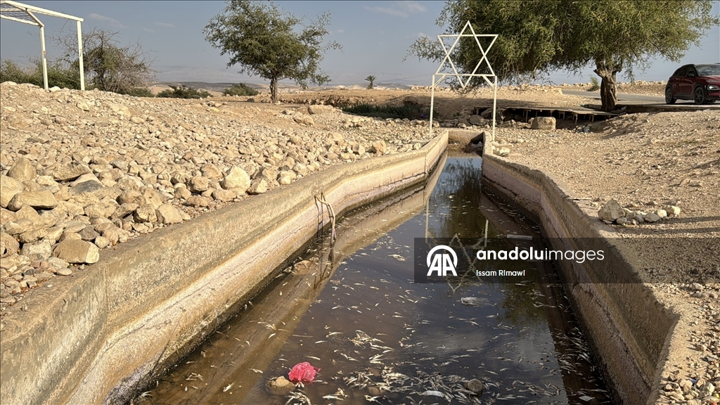 نبع العوجا بالضفة.. مورد فلسطيني يجف والمتهم مستوطنو إسرائيل