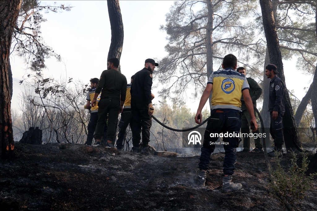 Suriye'nin Bayırbucak bölgesinde çıkan orman yangını sürüyor