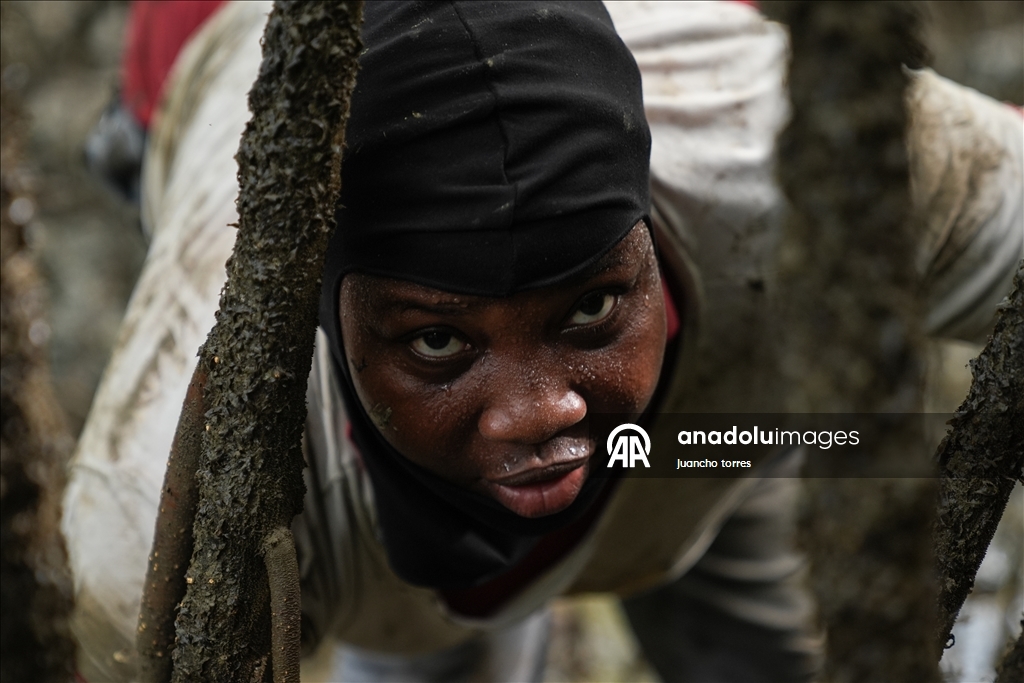 Las piangueras de Buenaventura: guardianas del manglar y la tradición en el Pacífico colombiano