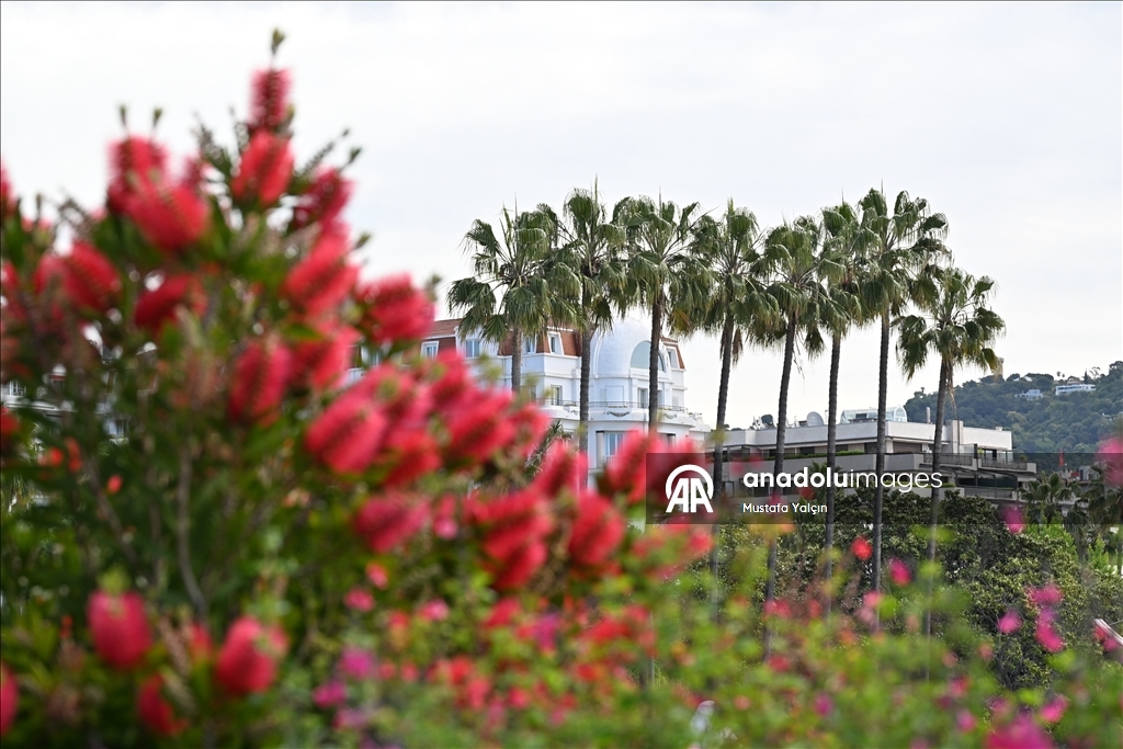 Preparations are underway for the 78th Cannes Film Festival