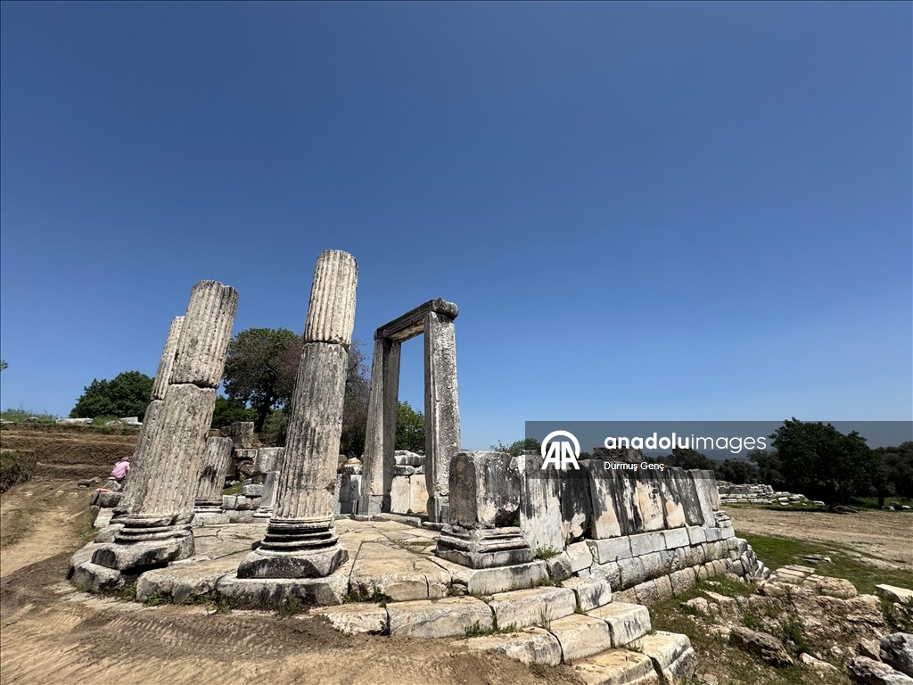 Entrance gate of the city and shops exposed in Lagina Hekate Sacred Site