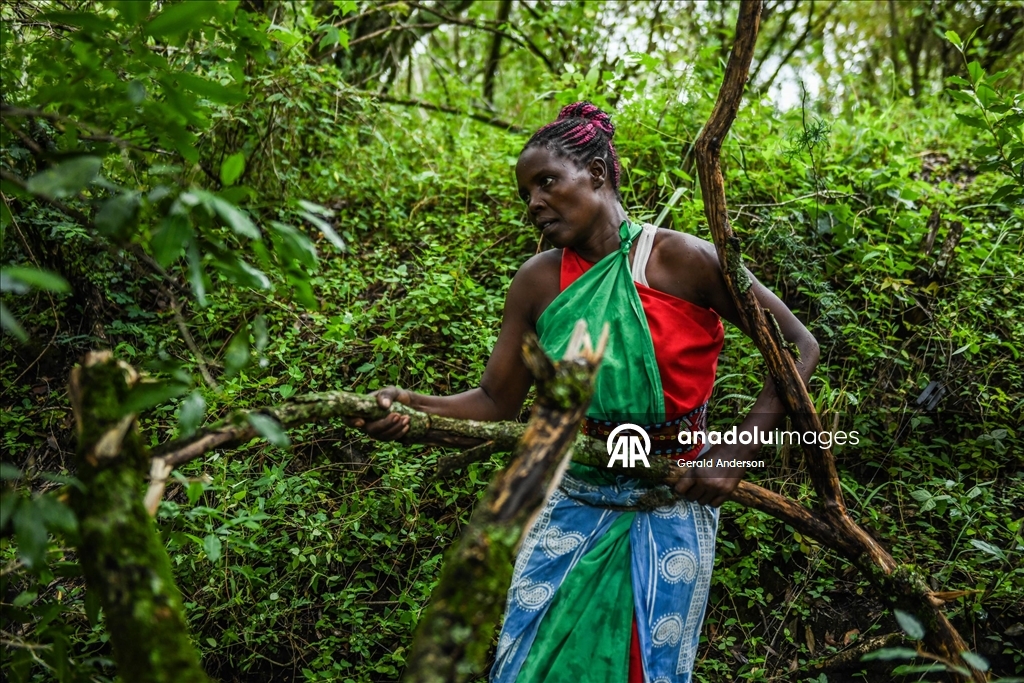 Kenya'da Masai'lerin günlük yaşamı
