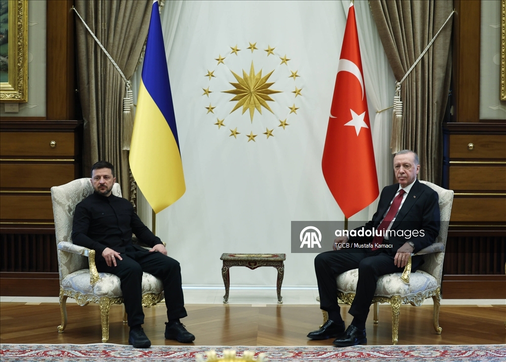 Cumhurbaşkanı Erdoğan'ın, Ukrayna Devlet Başkanı Zelenskiy ile görüşmesi başladı