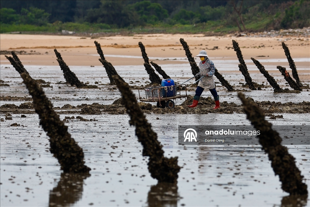 Life on Taiwan's "Pro-Beijing" Kinmen Islands