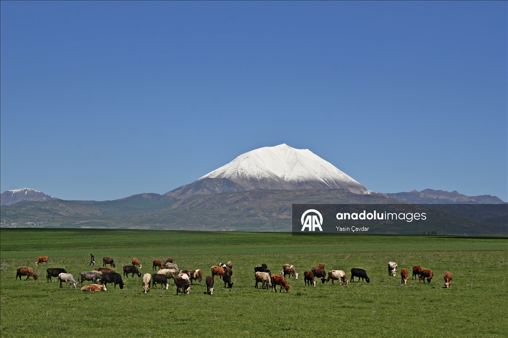 Mount Kosedag's summit covered in snow during spring in Turkiye's Agri