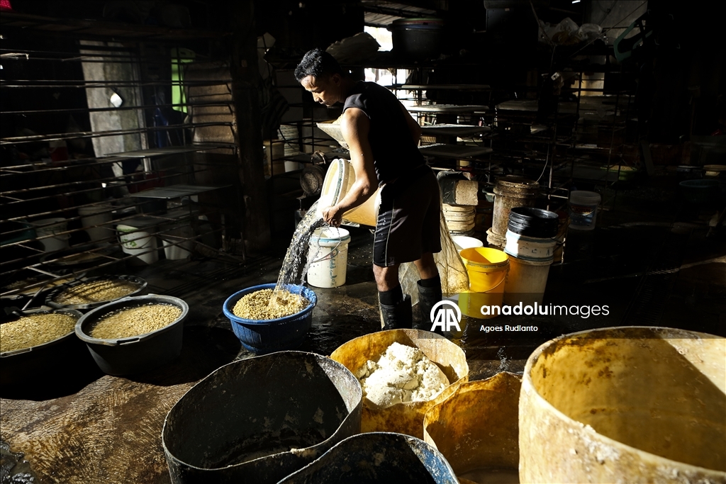 Endonezya'nın Orta Java bölgesindeki geleneksel işçilik: tofu ve tekstil üretimi