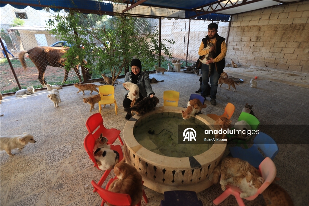 بمأوى تطوعي.. معلمة سورية تعالج حيوانات مشردة في حلب
