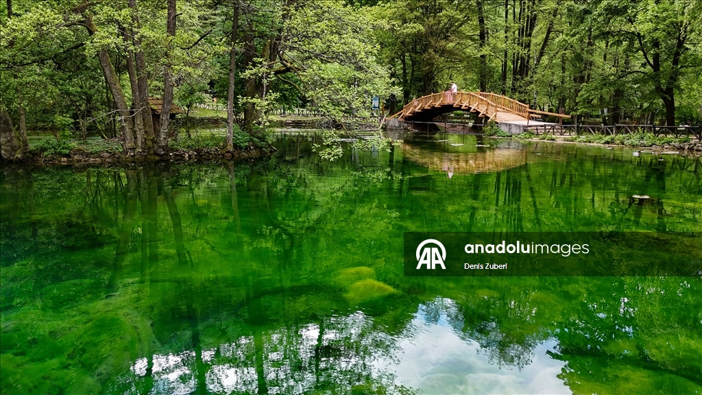 Saraybosna'daki "Vrelo Bosne" Milli Parkı