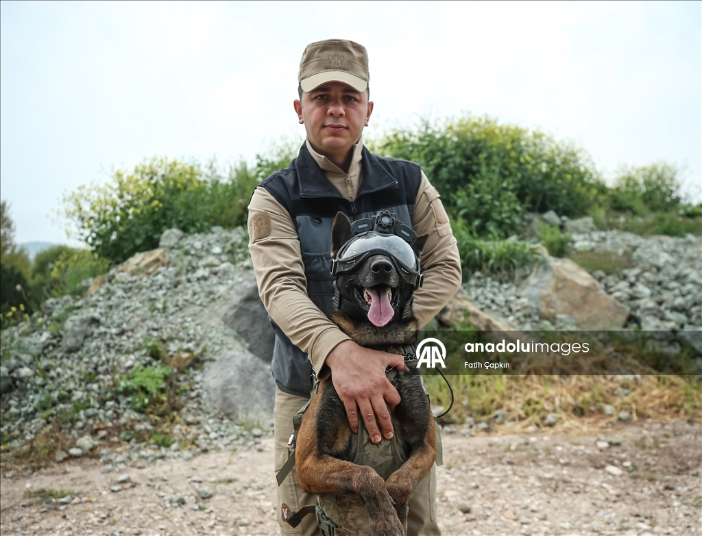 В районе Гемлик в Бурсе дрессируют собак для службы в ВС Турции