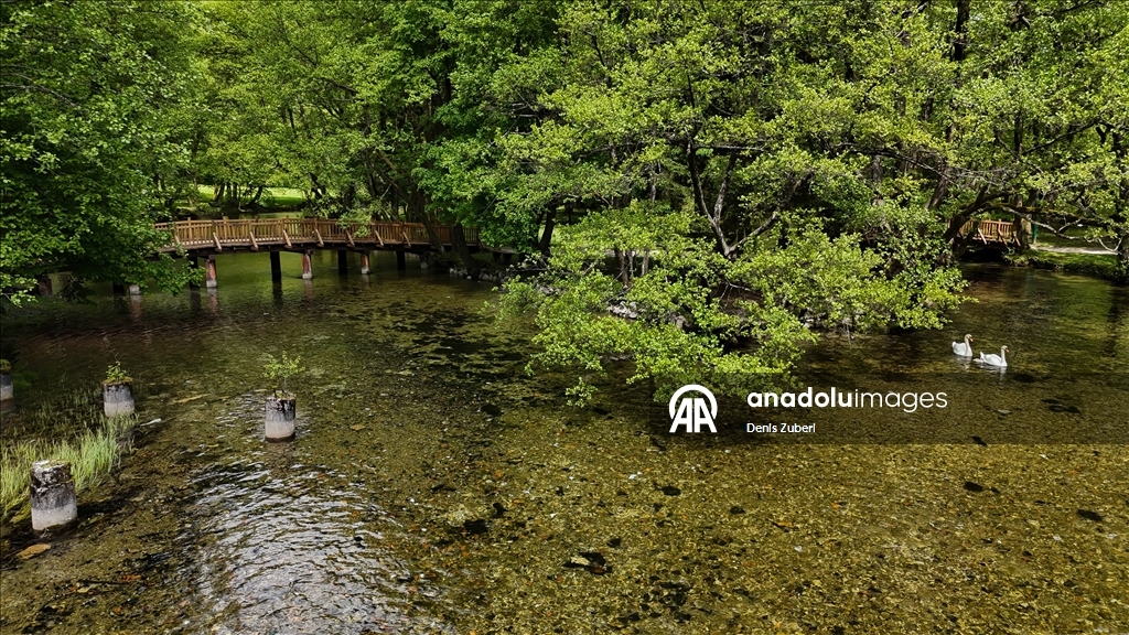 Saraybosna'daki "Vrelo Bosne" Milli Parkı