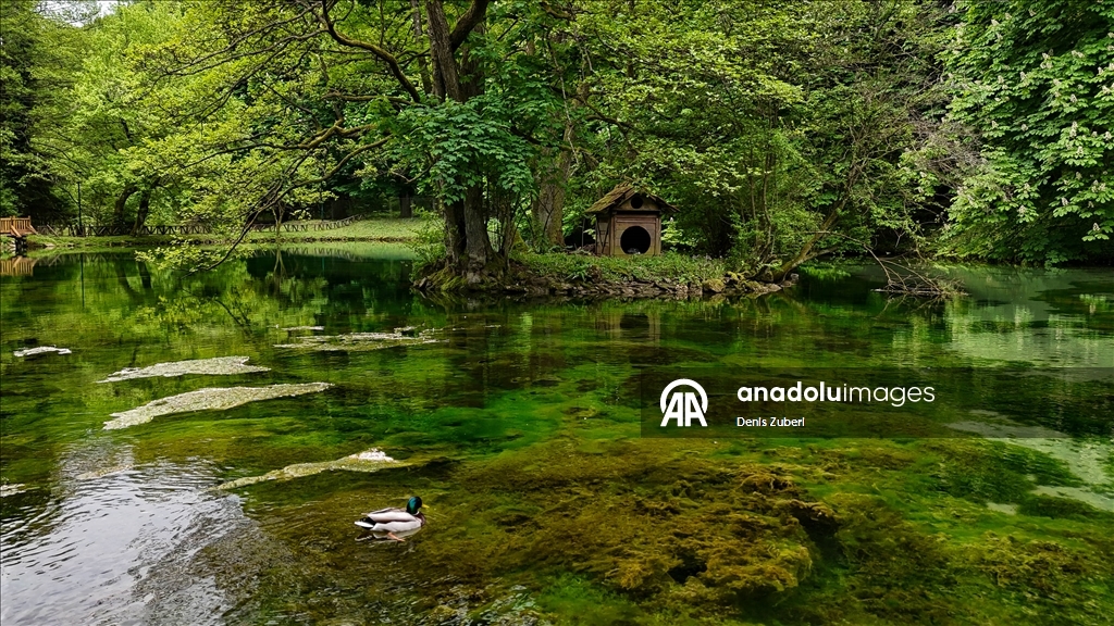 Saraybosna'daki "Vrelo Bosne" Milli Parkı