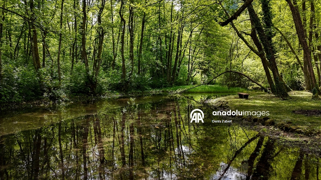 Saraybosna'daki "Vrelo Bosne" Milli Parkı