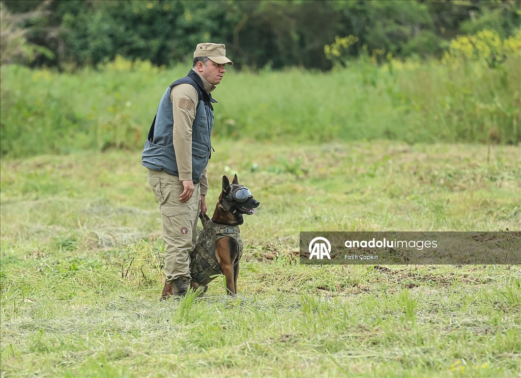 В районе Гемлик в Бурсе дрессируют собак для службы в ВС Турции