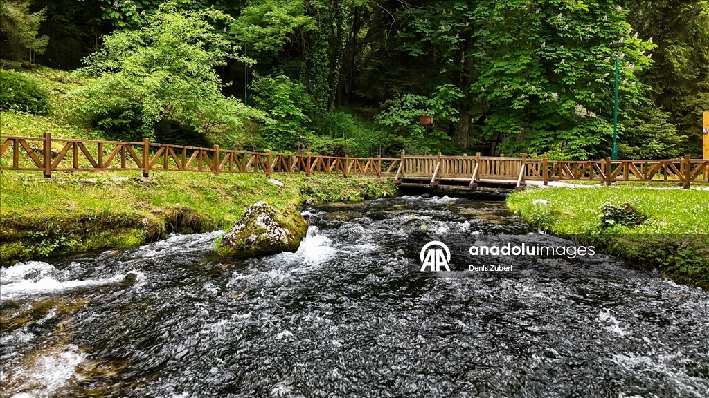 Saraybosna'daki "Vrelo Bosne" Milli Parkı
