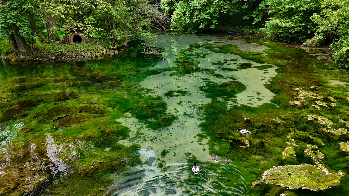 Spomenik prirode Vrelo Bosne: Prirodni biser u Sarajevu