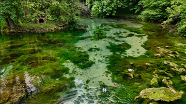 Spomenik prirode Vrelo Bosne: Prirodni biser u Sarajevu