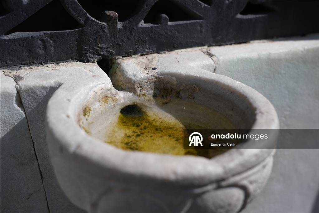 "مشارب الطيور".. عمارة عثمانية رحيمة تروي ظمأ الحيوان