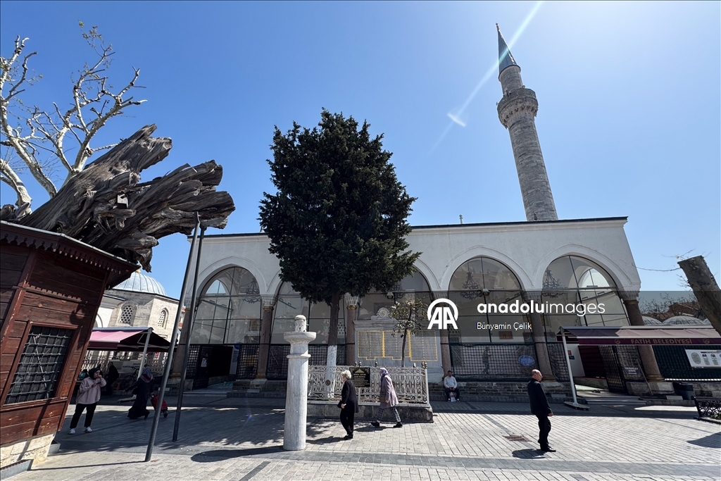 "مشارب الطيور".. عمارة عثمانية رحيمة تروي ظمأ الحيوان