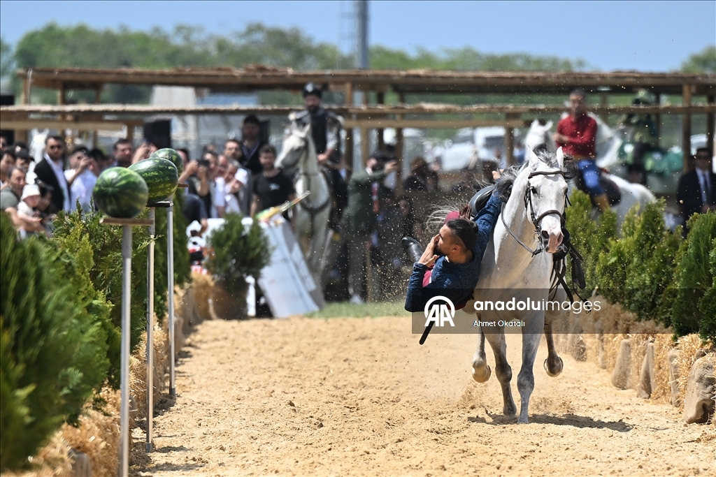 В Стамбуле стартовал VII Фестиваль культуры этноспорта