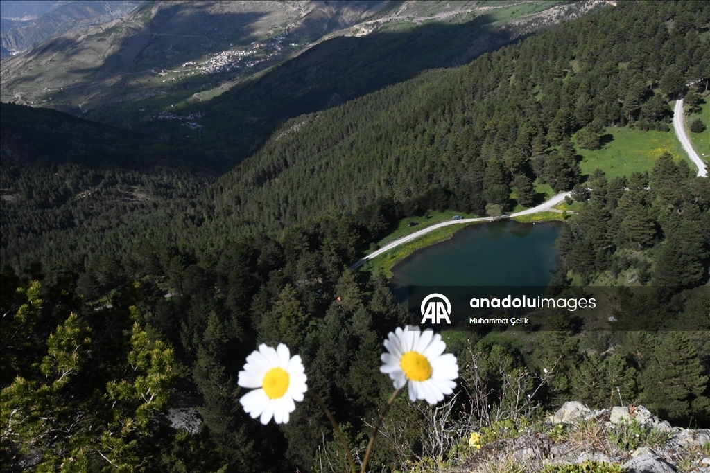 Altınpınar Limni Gölü turizm sezonunun ilk misafirlerini ağırlıyor