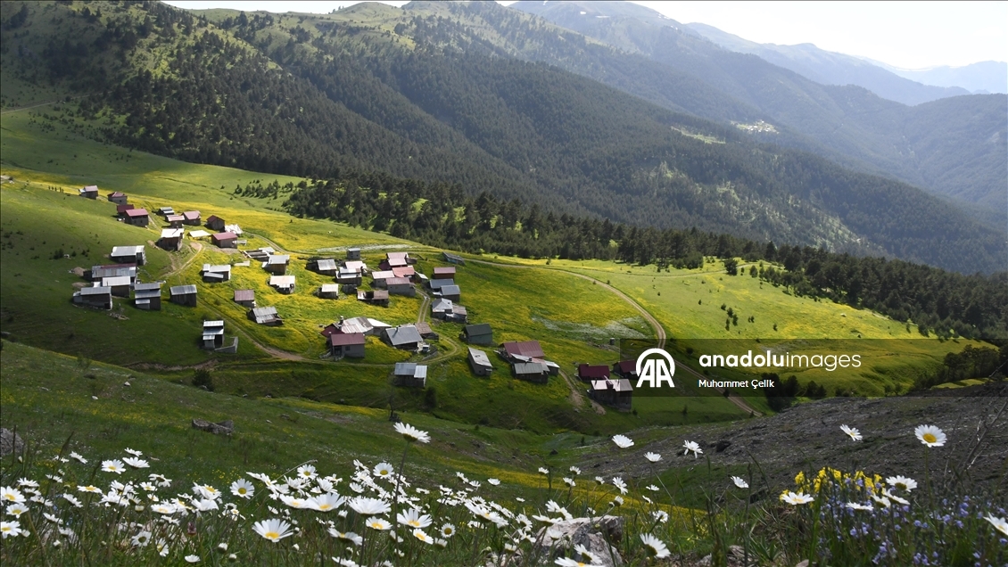 Altınpınar Limni Gölü turizm sezonunun ilk misafirlerini ağırlıyor