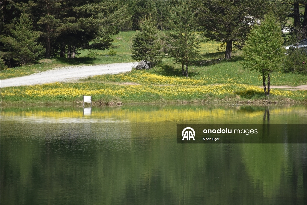 Altınpınar Limni Gölü turizm sezonunun ilk misafirlerini ağırlıyor