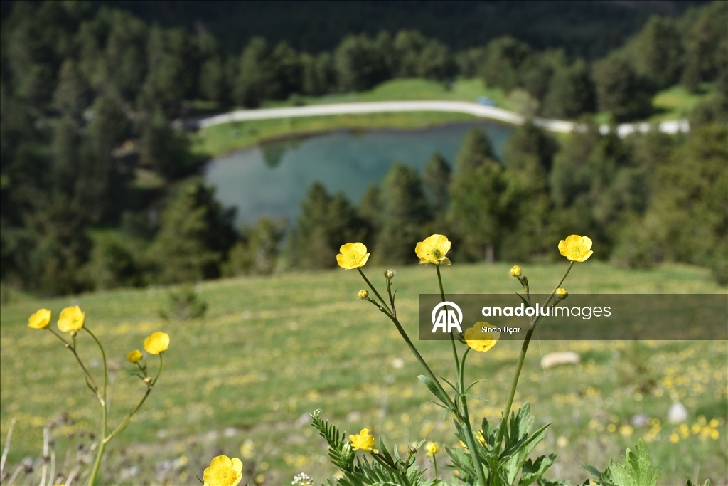 Altınpınar Limni Gölü turizm sezonunun ilk misafirlerini ağırlıyor