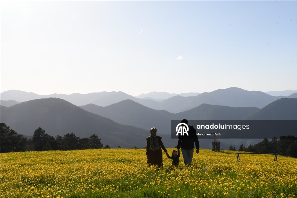 Altınpınar Limni Gölü turizm sezonunun ilk misafirlerini ağırlıyor