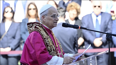 Papa 14. Leo Roma Piskoposu olarak göreve başladı