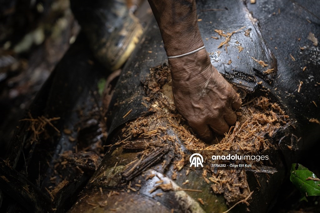 Waorani: El tiempo que resiste en la selva 3