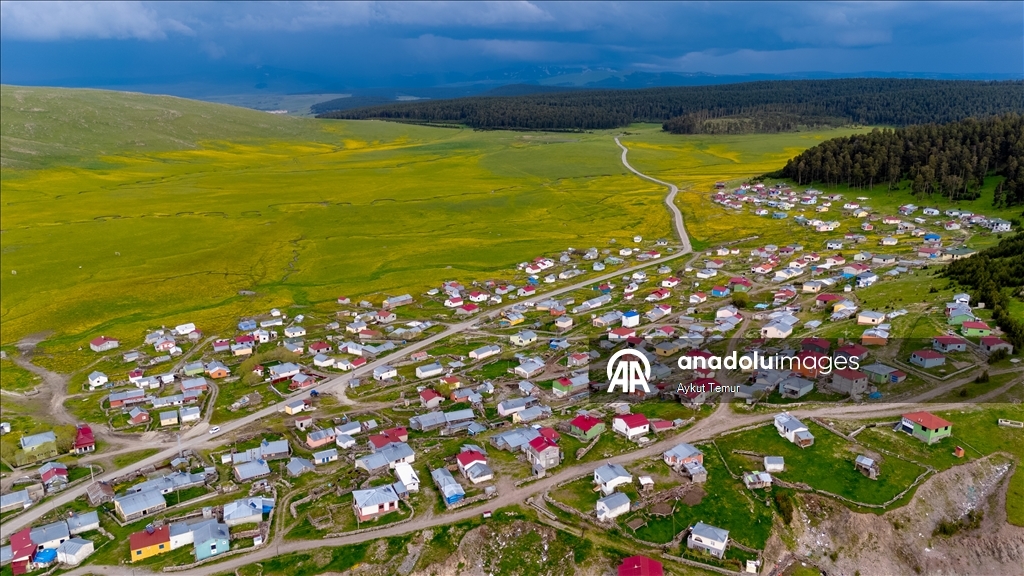 Ardahan'daki mendereslerde ilkbahar güzelliği