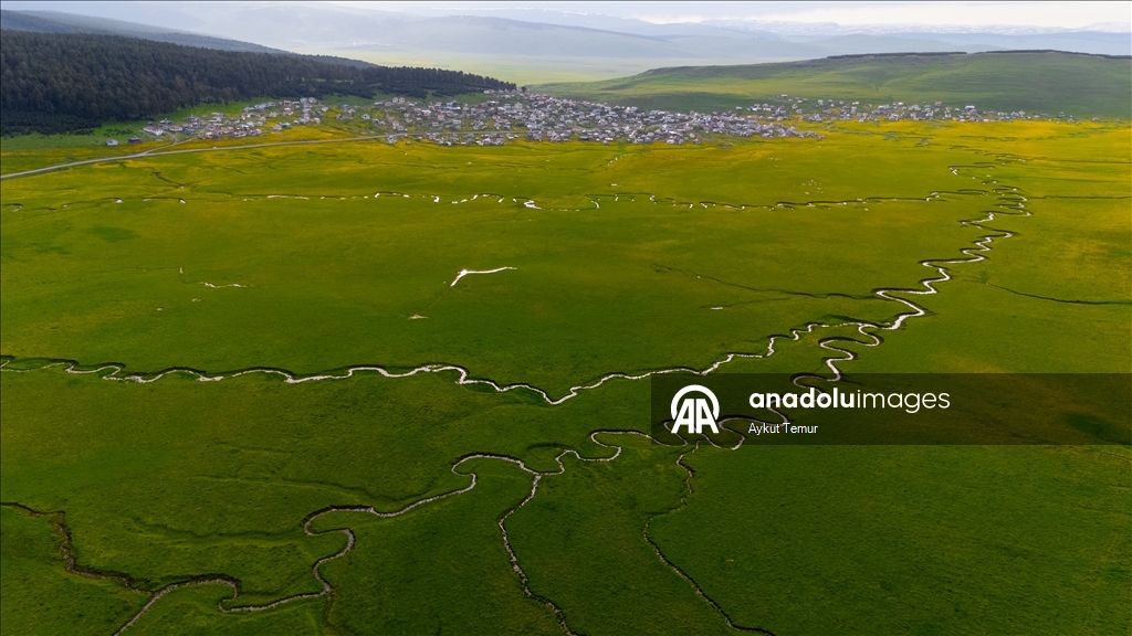 Ardahan'daki mendereslerde ilkbahar güzelliği