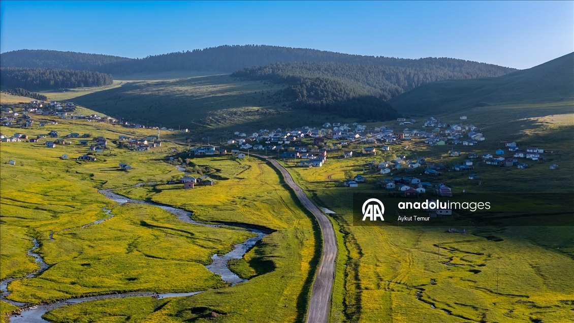 Ardahan'daki mendereslerde ilkbahar güzelliği