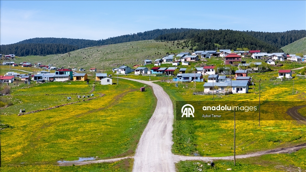 Ardahan'daki mendereslerde ilkbahar güzelliği
