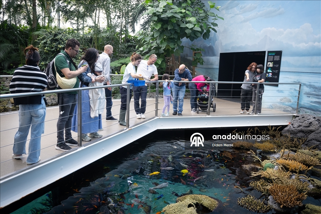 Second largest aquarium in Europe: Lisbon Oceanarium