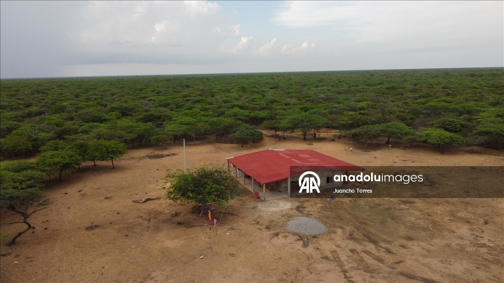 Voices of the Desert: Wayuu Youth Reclaim Territory Through Communication and Ancestral Wisdom