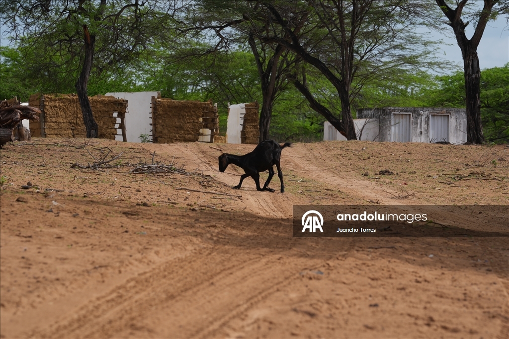 Voices of the Desert: Wayuu Youth Reclaim Territory Through Communication and Ancestral Wisdom