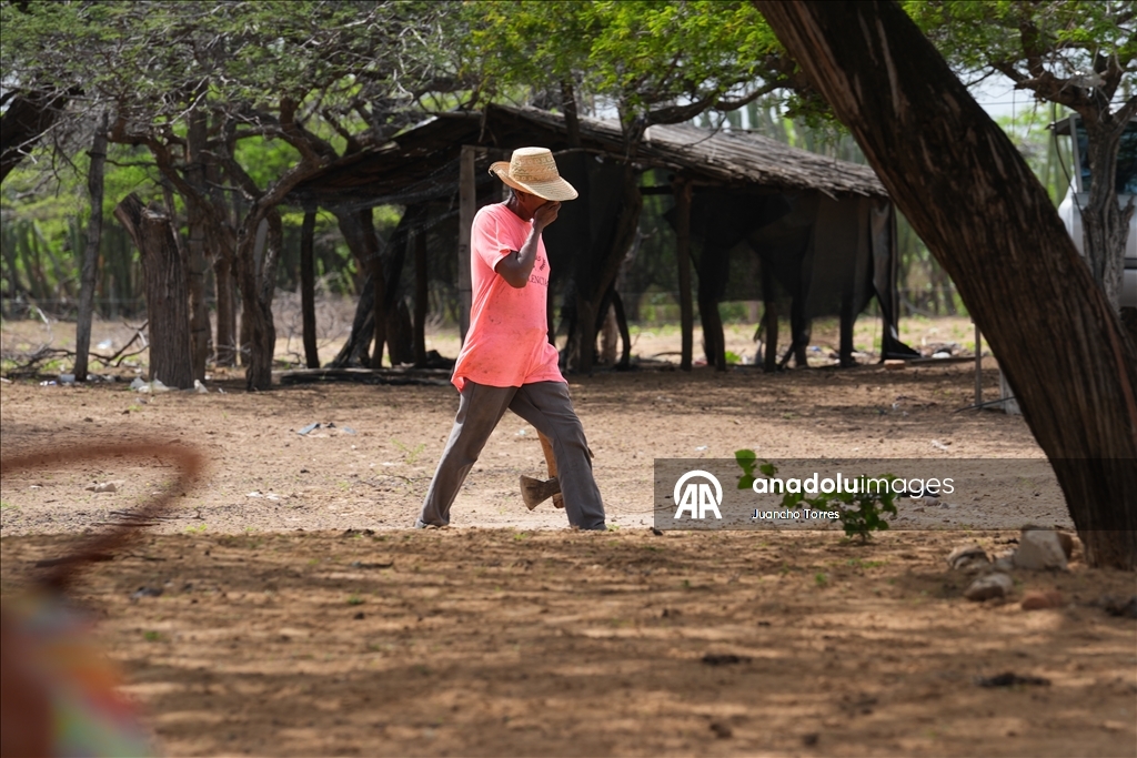 Voices of the Desert: Wayuu Youth Reclaim Territory Through Communication and Ancestral Wisdom