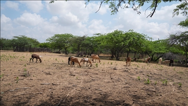 Voices of the Desert: Wayuu Youth Reclaim Territory Through Communication and Ancestral Wisdom